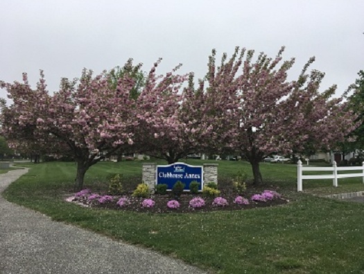 Clubhouse Annex